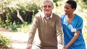 grade curricular enfermagem