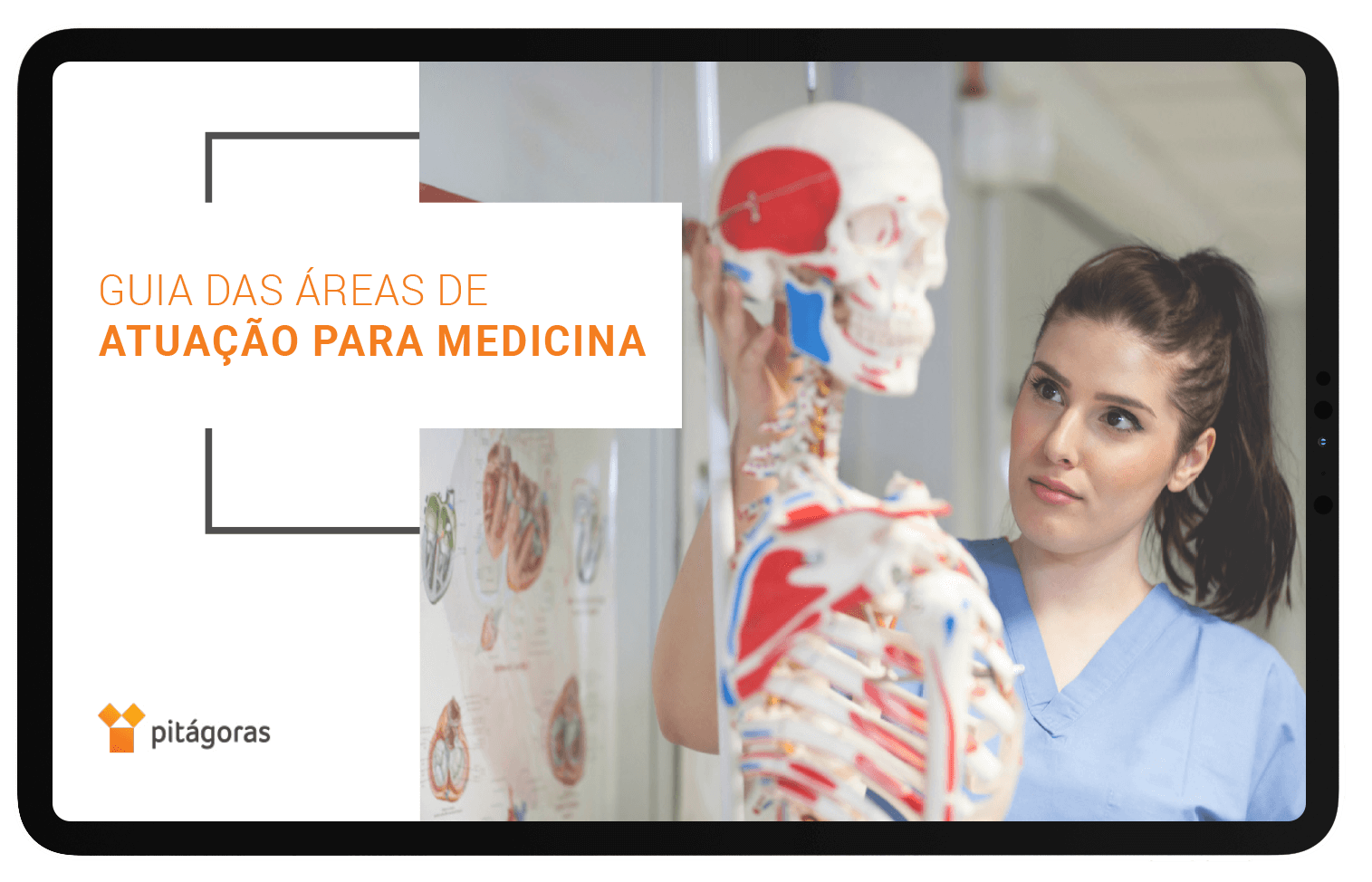 Conheça As Principais Áreas Da Medicina E Suas Funções – FSAQ