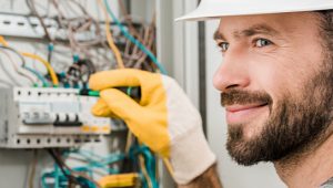 engenharia elétrica princípios e aplicações