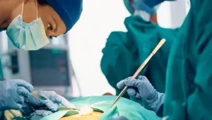 Medicina 2024.1 Pitágoras Codó Tradicional