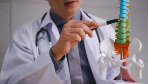 O que é fisiologia Pitágoras