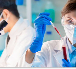 Cientista analisando amostra de sangue.